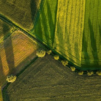 Yulian Alexeyev-unsplash